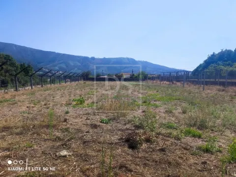 Terreno Urbano