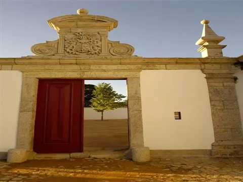 Quinta T5