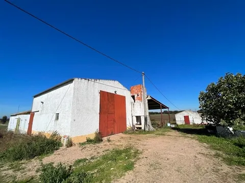 Quinta T2