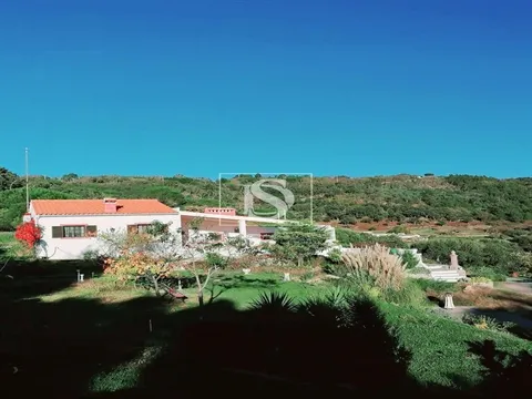 Quinta T4