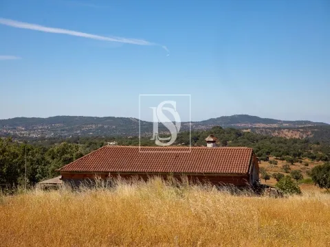 Quinta com 2,5 hectares em Ribeira de Nisa, Portalegre