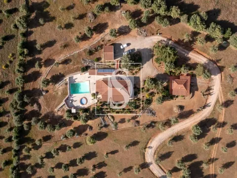 Quinta T4