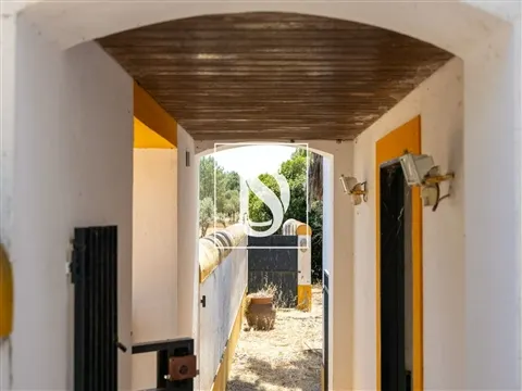 Quinta T4