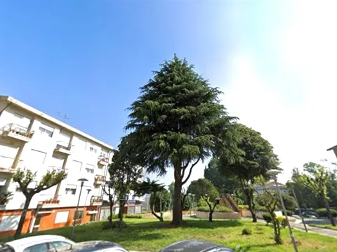 Loja