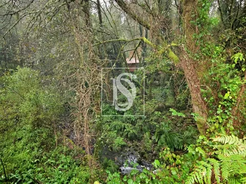Quinta