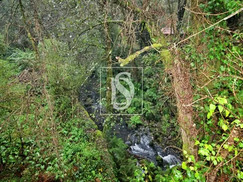 Quinta
