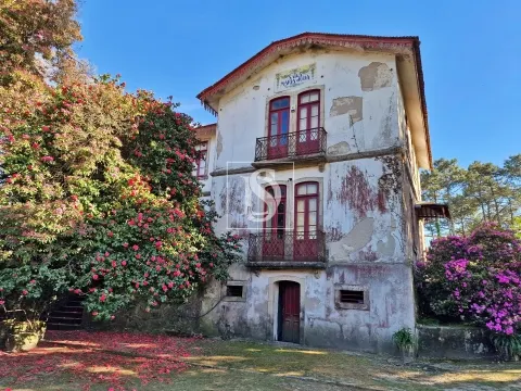 Quinta T6