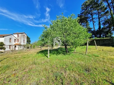 Quinta T6