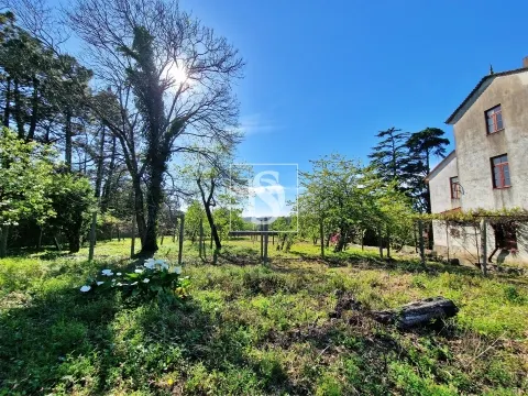 Quinta T6