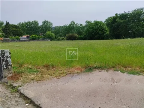 Terreno Misto