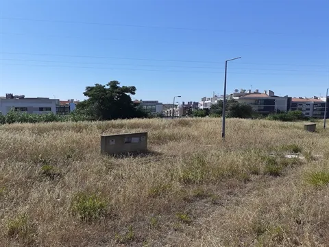 Terreno