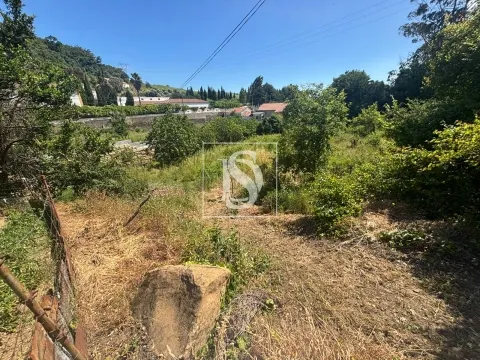 Terreno Misto