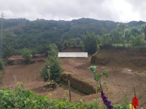 Terrain rural