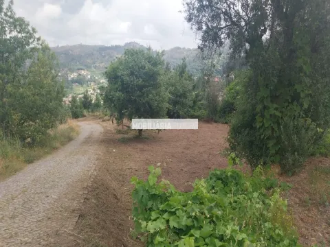 Terrain rural