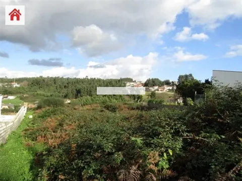 Terrain