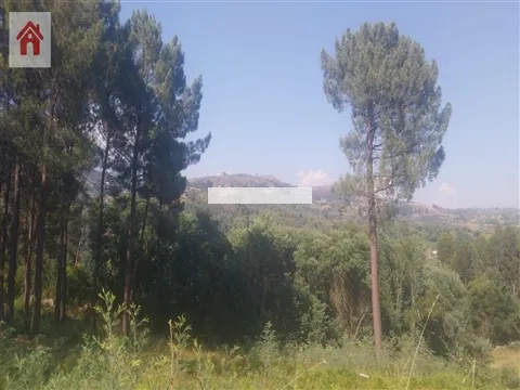 Terrain rural