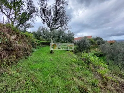 Piccola Fattoria 3 Vani