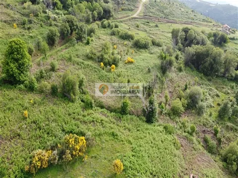 img_3