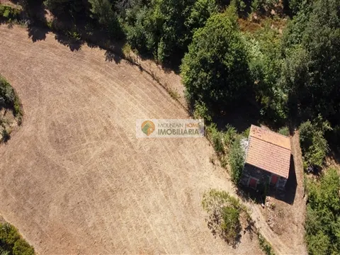 finca