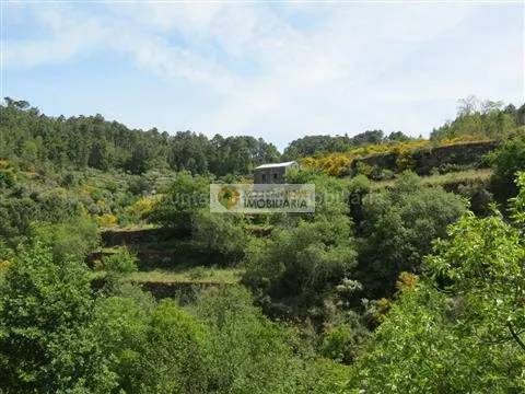 Fattoria / Cascina / Casale