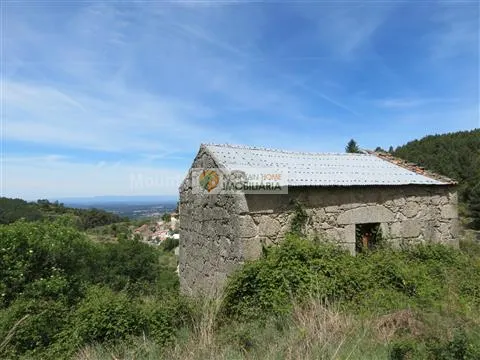 Fattoria / Cascina / Casale