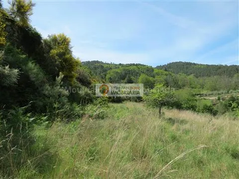 Fattoria / Cascina / Casale