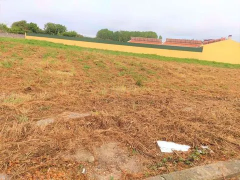 Real Estate building T4