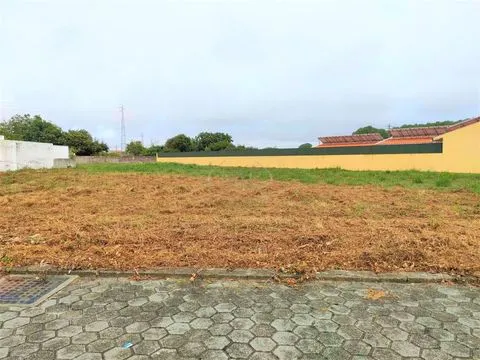 Real Estate building T4