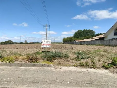 Terreno em Ilhavo p/ Contrução Moradia. 1800m2/11metros de frente.