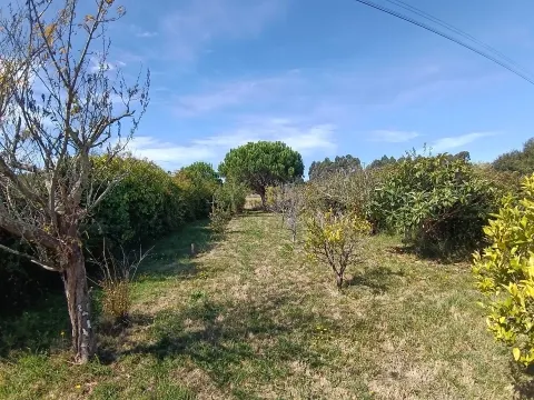 Moradia T4 Isolada com Vista Ria na Gafanha da Boavista. Quintal, jardim e garagem. 