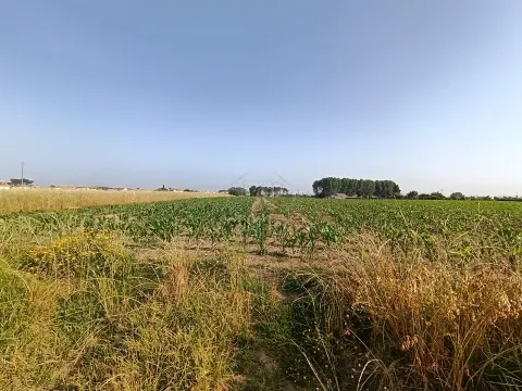 Terreno Rústico com 1380m2 e 15 de frente em Ilhavo.