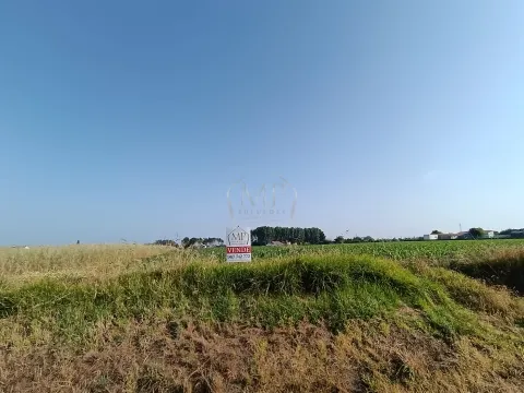 Terreno Rústico com 1380m2 e 15 de frente em Ilhavo.