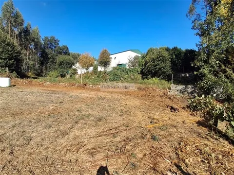 Real Estate