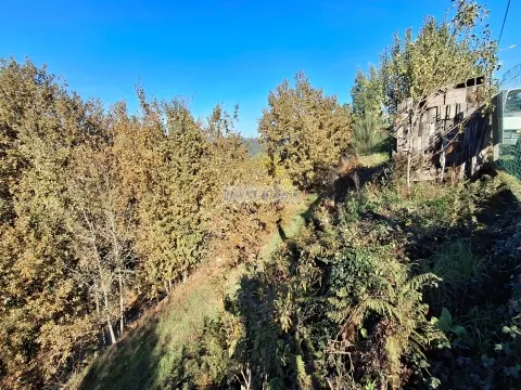 Terreno com viabilidade de construção