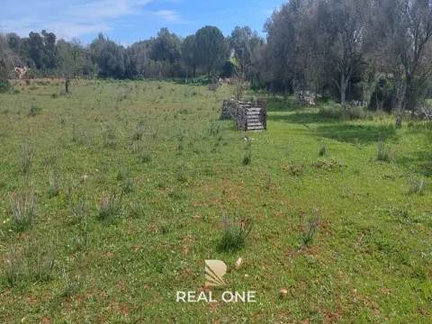 Terrain à Albufeira avec 21 790 m2