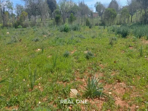 Terrain à Albufeira avec 21 790 m2