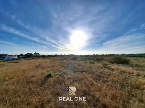Terreno perto dos Salgados, Galé, Vale Rabelho