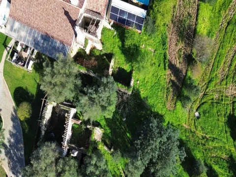 img_7