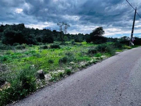 Terreno Rústico