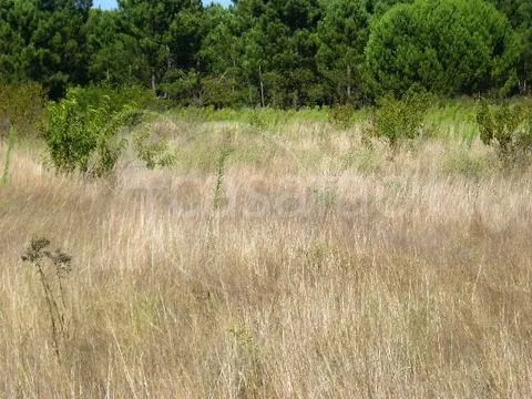 Terreno Rústico