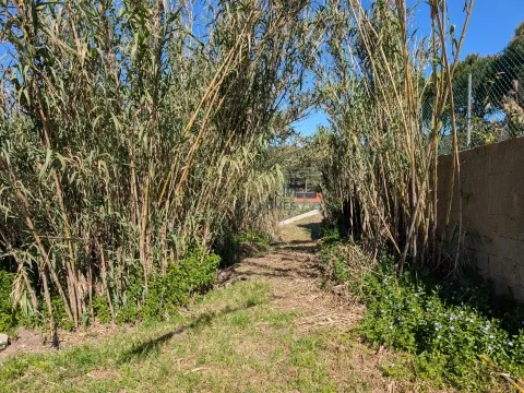 Terreno urbano en Sintra
