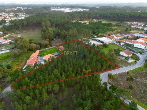Terreno destinado a construção, sito em Trutas | Marinha Grande