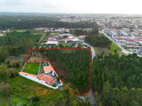 Terreno destinado a construção, sito em Trutas | Marinha Grande