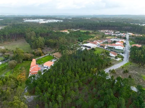 Terreno destinado a construção, sito em Trutas | Marinha Grande