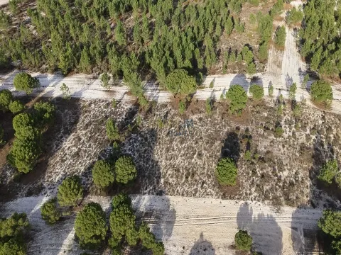 Terreno agrícola en Grândola
