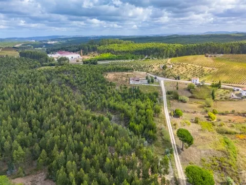 Lotto di terra per la costruzione 1000 m2. 