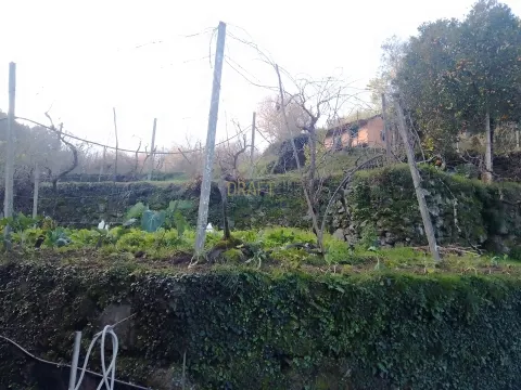 Terrain rustique à Cinfães - Viseu Terrain à vendre à Cinfães - Viseu