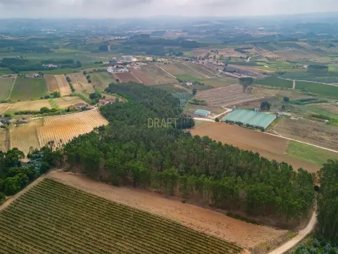 Haus 3 Schlafzimmer in Moita dos Ferreiros, Lourinhã.