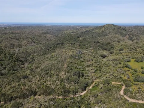 Terreno rustico sulla costa dell´Alentejo