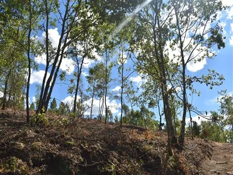 Terreno per Costruzione